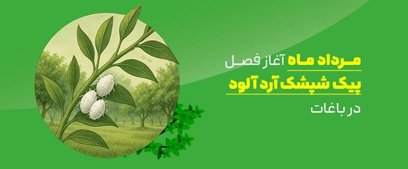 photo_2025-10-22_14-46-12 (2)