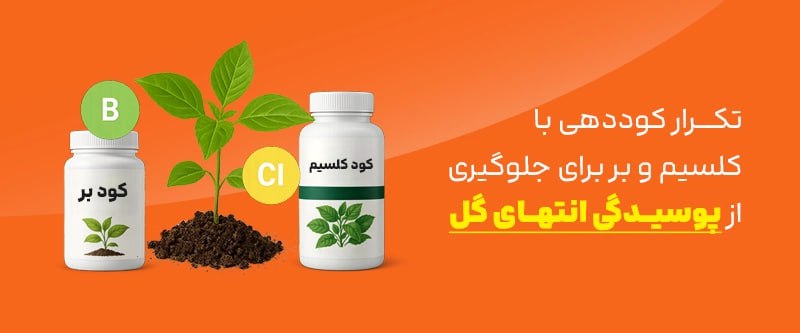 photo_2025-10-22_14-46-12